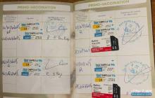 Caniche pekinois 7mois